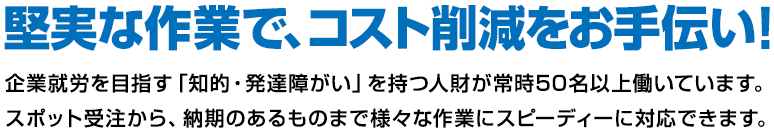 堅実な作業で、コスト削減をお手伝い！ 企業就労を目指す「知的・発達障害」を持つ人財が常時50名以上働いています。スポット受注から、納期のあるものまで様々な作業にスピーディーに対応できます。