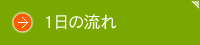 １日の流れ